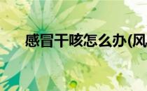 感冒干咳怎么办(风热感冒干咳怎么办)