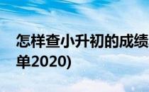 怎样查小升初的成绩单(怎样查小升初的成绩单2020)