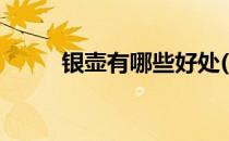 银壶有哪些好处(银壶有什么好处)