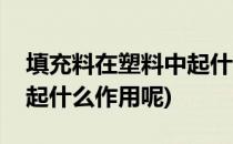 填充料在塑料中起什么作用(填充料在塑料中起什么作用呢)
