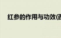 红参的作用与功效(西洋参的作用与功效)