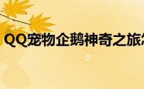 QQ宠物企鹅神奇之旅怎么玩(qq宠物企鹅岛)