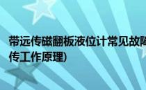 带远传磁翻板液位计常见故障分析及处理(磁翻板液位计带远传工作原理)
