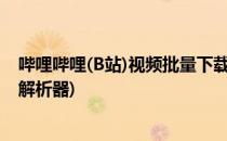 哔哩哔哩(B站)视频批量下载,在线解析的方法(b站视频下载解析器)