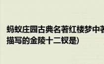 蚂蚁庄园古典名著红楼梦中著名的金陵十二钗答案(红楼梦中描写的金陵十二钗是)