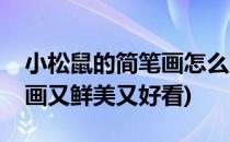 小松鼠的简笔画怎么画(小松鼠的简笔画怎么画又鲜美又好看)