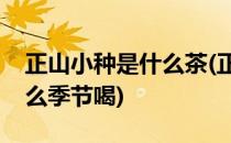 正山小种是什么茶(正山小种是什么茶适合什么季节喝)