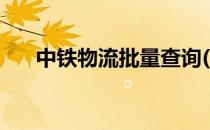 中铁物流批量查询(中铁物流查询系统)