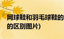 网球鞋和羽毛球鞋的区别(网球鞋和羽毛球鞋的区别图片)