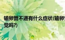 输卵管不通有什么症状(输卵管不通有什么症状自己有什么感觉吗?)