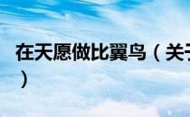 在天愿做比翼鸟（关于在天愿做比翼鸟的介绍）