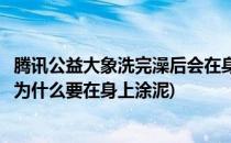 腾讯公益大象洗完澡后会在身上涂泥巴是为什么(大象洗完澡为什么要在身上涂泥)