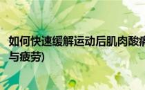 如何快速缓解运动后肌肉酸痛(如何快速缓解运动后肌肉酸痛与疲劳)