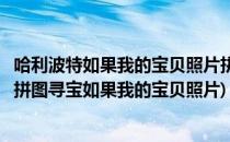 哈利波特如果我的宝贝照片拼图寻宝攻略(哈利波特魔法觉醒拼图寻宝如果我的宝贝照片)