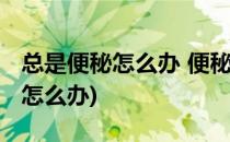 总是便秘怎么办 便秘怎样快速排便(总是便秘怎么办)