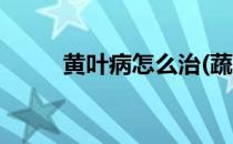黄叶病怎么治(蔬菜黄叶病怎么治)