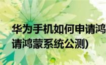 华为手机如何申请鸿蒙系统公测(华为怎么申请鸿蒙系统公测)
