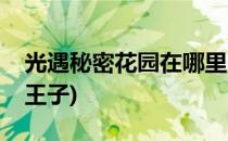 光遇秘密花园在哪里(光遇秘密花园在哪里小王子)