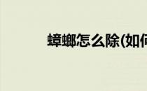 蟑螂怎么除(如何彻底消灭蟑螂)