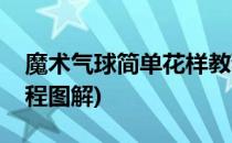 魔术气球简单花样教程(魔术气球简单花样教程图解)