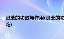 灵芝的功效与作用(灵芝的功效与作用及食用方法,灵芝怎么吃)