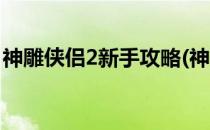 神雕侠侣2新手攻略(神雕侠侣2新手攻略视频)