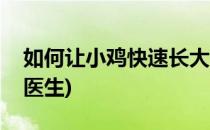 如何让小鸡快速长大(如何让小鸡快速长大问医生)