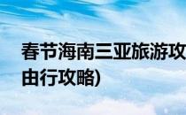 春节海南三亚旅游攻略(海南三亚旅游攻略自由行攻略)