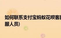 如何联系支付宝蚂蚁花呗客服?(如何联系支付宝蚂蚁花呗客服人员)