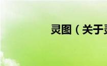 灵图（关于灵图的介绍）