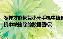 怎样才能恢复小米手机中被删除的数据(怎样才能恢复小米手机中被删除的数据图标)