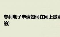 专利电子申请如何在网上缴费(专利电子申请如何在网上缴费的)