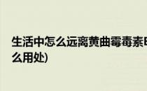 生活中怎么远离黄曲霉毒素B1的危害呢(黄曲霉毒素b1有什么用处)