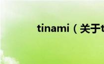 tinami（关于tinami的介绍）