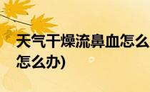 天气干燥流鼻血怎么办(小孩天气干燥流鼻血怎么办)