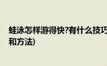 蛙泳怎样游得快?有什么技巧?(蛙泳怎样游得快?有什么技巧和方法)