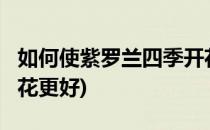 如何使紫罗兰四季开花?(如何使紫罗兰四季开花更好)