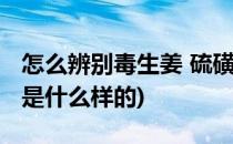 怎么辨别毒生姜 硫磺生姜或农药生姜(硫磺姜是什么样的)