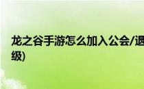 龙之谷手游怎么加入公会/退出公会(龙之谷手游公会怎么升级)
