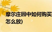 摩尔庄园中如何购买蜡烛香薰(摩尔庄园灯笼怎么放)
