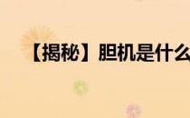 【揭秘】胆机是什么(胆机为什么叫胆机)