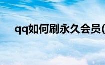 qq如何刷永久会员(怎样刷永久qq会员)