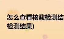 怎么查看核酸检测结果(支付宝怎么查看核酸检测结果)