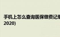 手机上怎么查询医保缴费记录(手机上怎么查询医保缴费记录2020)