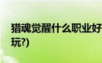 猎魂觉醒什么职业好玩(猎魂觉醒什么职业好玩?)