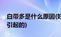 白带多是什么原因(妇科分泌物多是什么原因引起的)