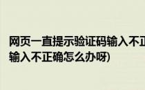 网页一直提示验证码输入不正确怎么办(网页一直提示验证码输入不正确怎么办呀)