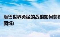魔兽世界勇猛的战狼如何获得(魔兽世界勇猛的战狼如何获得图纸)