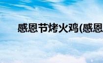 感恩节烤火鸡(感恩节烤火鸡的简笔画)