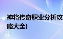 神将传奇职业分析攻略(神将传奇职业分析攻略大全)